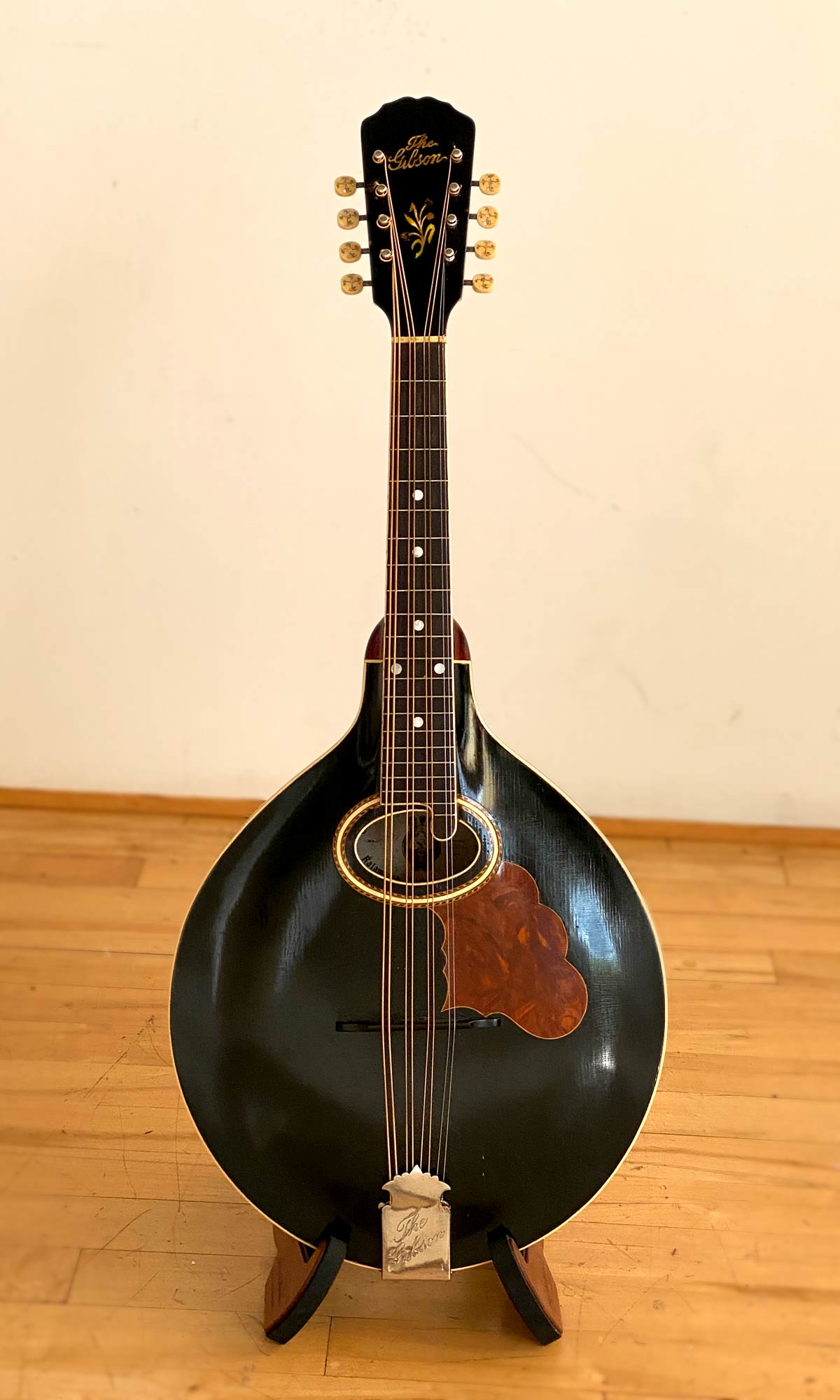 Gibson H2 Mandola 1909