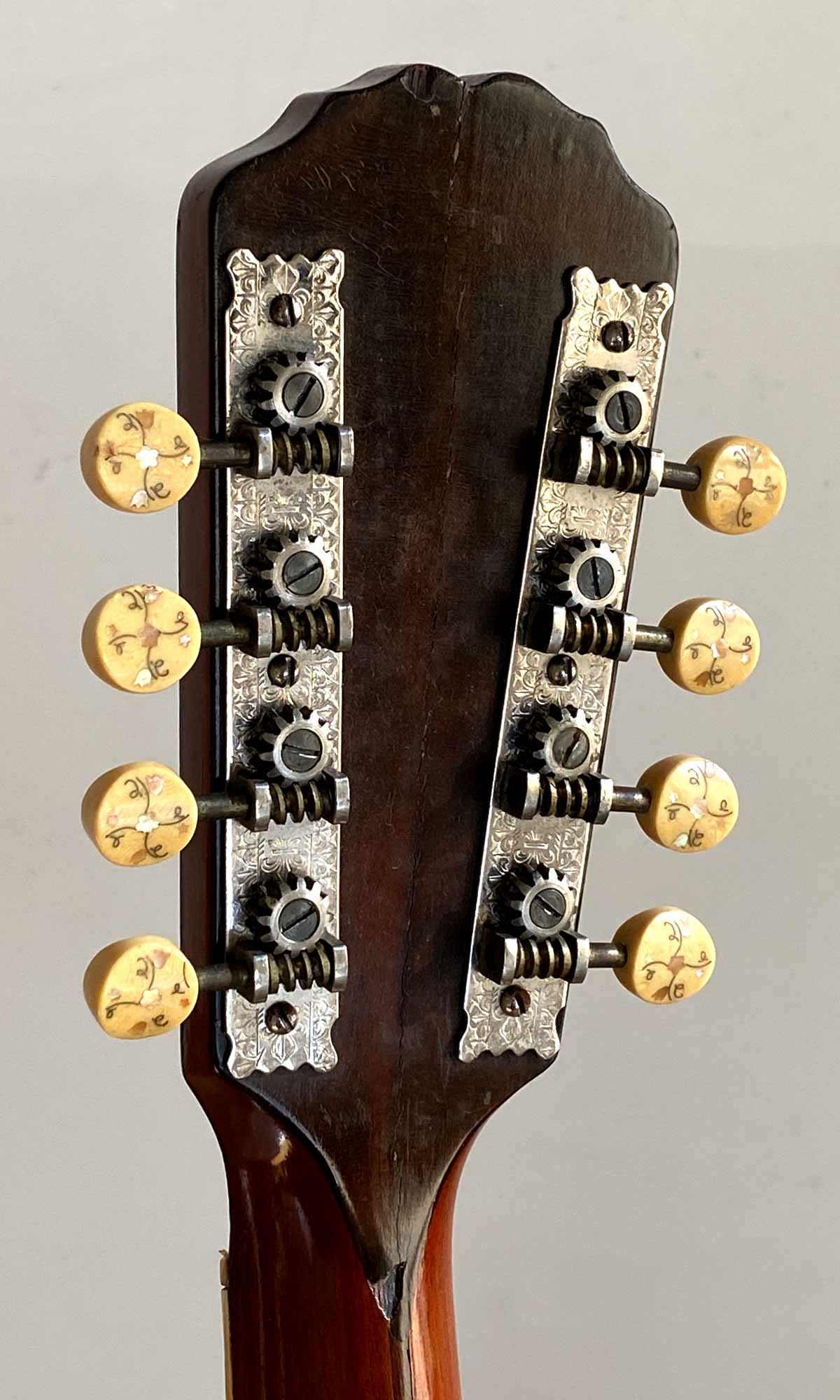 Gibson H2 Mandola 1909