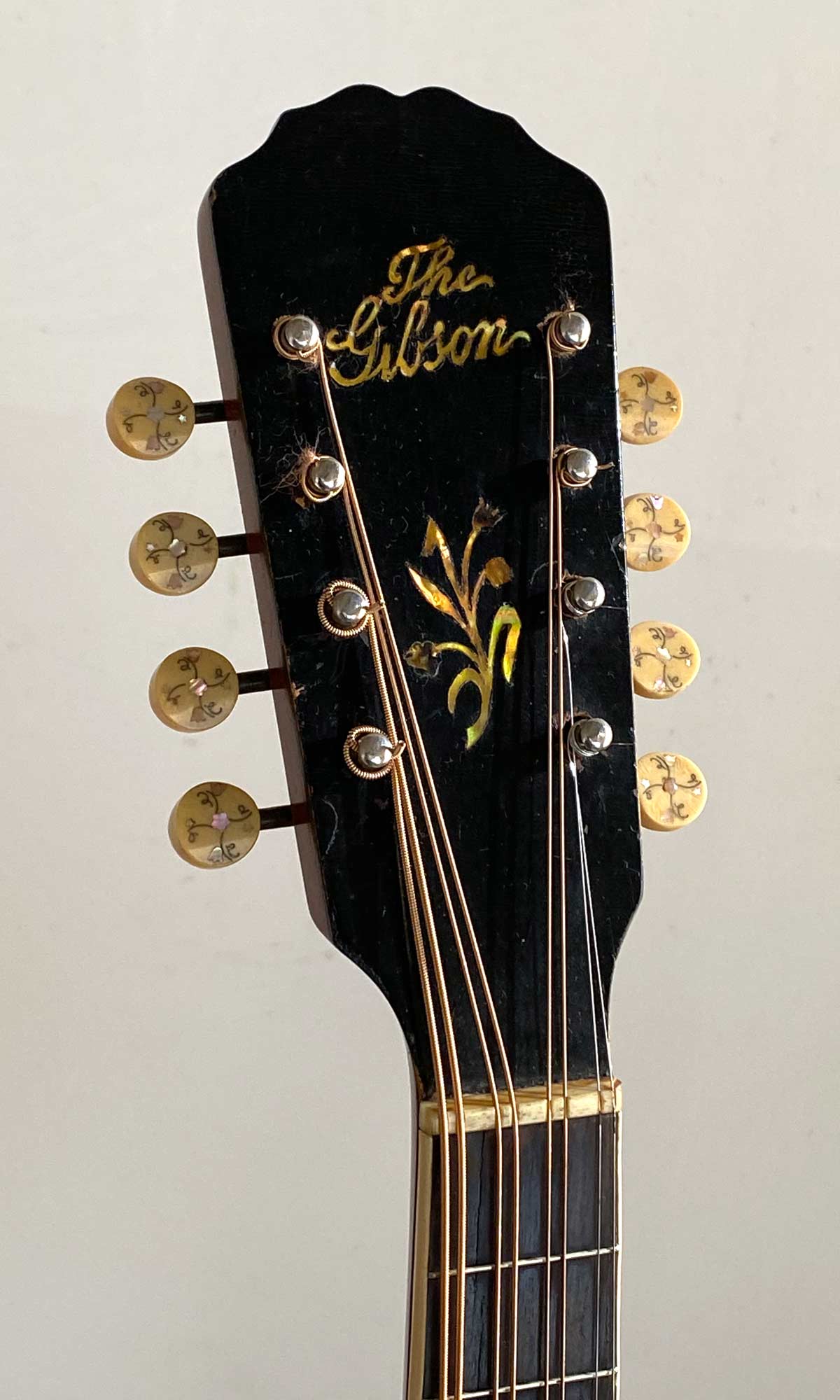 Gibson H2 Mandola 1909